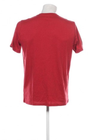 Herren T-Shirt Hollister, Größe L, Farbe Rot, Preis 19,99 €