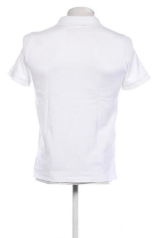 Herren T-Shirt Lacoste, Größe M, Farbe Weiß, Preis 28,00 €