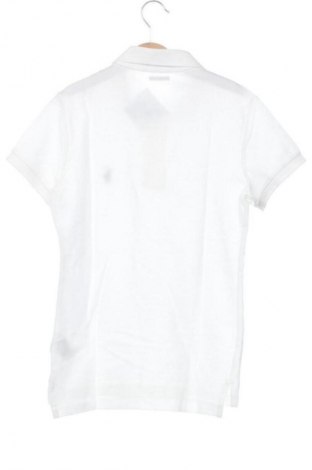 Дамска тениска Polo By Ralph Lauren, Размер XS, Цвят Бял, Цена 82,80 лв.