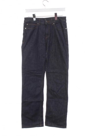 Herren Jeans DC Shoes, Größe S, Farbe Blau, Preis 51,99 €