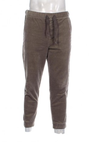 Herren Cordhose Zara, Größe M, Farbe Grün, Preis 8,99 €