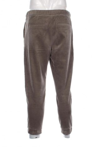 Herren Cordhose Zara, Größe M, Farbe Grün, Preis 8,99 €