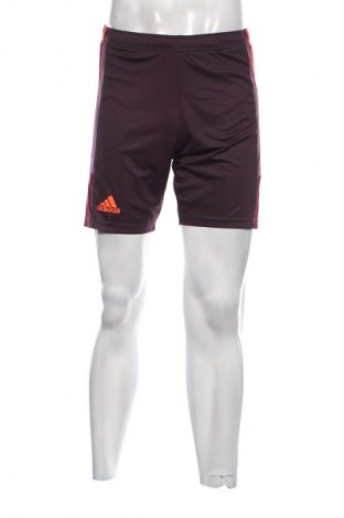 Pantaloni scurți de bărbați Adidas, Mărime S, Culoare Multicolor, Preț 115,99 Lei