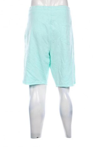 Pánske kraťasy  Angelo Litrico, Veľkosť XXL, Farba Zelená, Cena  11,95 €