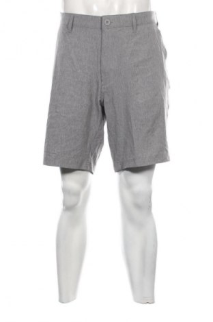 Herren Shorts Berkeley, Größe XL, Farbe Grau, Preis 31,99 €
