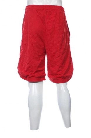 Herren Shorts Champion, Größe XL, Farbe Rot, Preis € 13,99