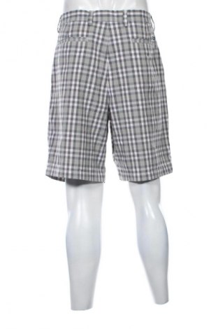 Herren Shorts Chaps, Größe L, Farbe Mehrfarbig, Preis € 20,99