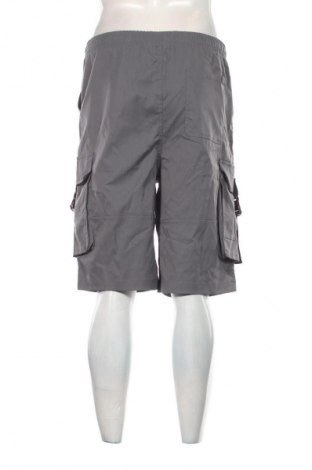 Herren Shorts Cropp, Größe L, Farbe Grau, Preis € 13,99