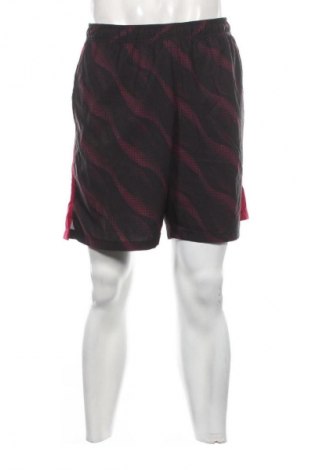 Herren Shorts Everlast, Größe XL, Farbe Mehrfarbig, Preis 23,99 €
