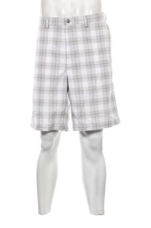 Herren Shorts Haggar, Größe XL, Farbe Mehrfarbig, Preis 20,99 €