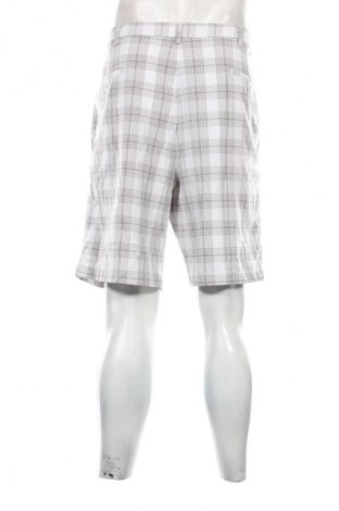 Herren Shorts Haggar, Größe XL, Farbe Mehrfarbig, Preis 20,99 €