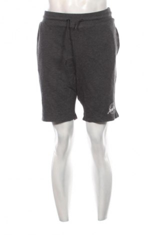Pánske kraťasy  Jack & Jones, Veľkosť XL, Farba Sivá, Cena  19,95 €