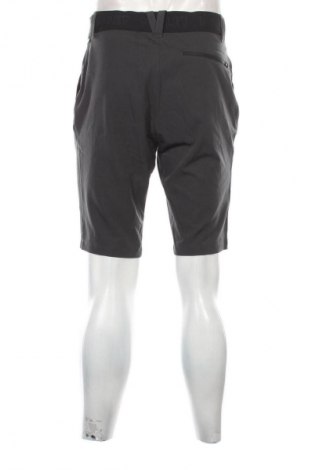 Herren Shorts Millet, Größe M, Farbe Grün, Preis € 28,99