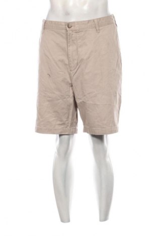 Męskie szorty Nautica, Rozmiar XXL, Kolor Beżowy, Cena 85,99 zł