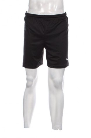 Herren Shorts PUMA, Größe M, Farbe Schwarz, Preis € 23,99