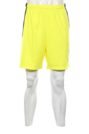 Herren Shorts PUMA, Größe XL, Farbe Grün, Preis 23,99 €