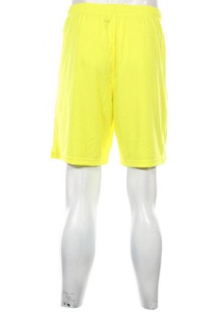 Herren Shorts PUMA, Größe XL, Farbe Grün, Preis 23,99 €