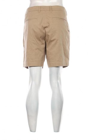 Herren Shorts Roundtree & Yorke, Größe XL, Farbe Beige, Preis € 17,99