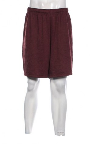 Herren Shorts Russell, Größe XXL, Farbe Mehrfarbig, Preis 18,99 €