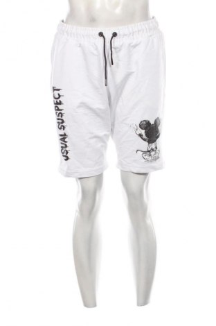 Herren Shorts Unbranded, Größe L, Farbe Mehrfarbig, Preis € 20,99