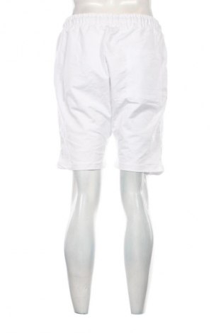 Herren Shorts Unbranded, Größe L, Farbe Mehrfarbig, Preis € 20,99