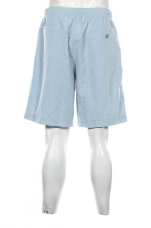 Herren Shorts Unbranded, Größe L, Farbe Grau, Preis 20,99 €