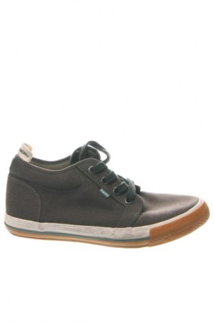 Herrenschuhe Superdry, Größe 43, Farbe Grün, Preis € 57,99