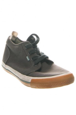 Herrenschuhe Superdry, Größe 43, Farbe Grün, Preis € 57,99