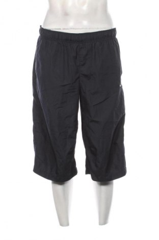 Herrenhose Nike, Größe L, Farbe Blau, Preis 37,99 €