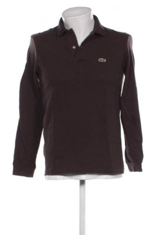 Herren Rollkragen Lacoste, Größe L, Farbe Braun, Preis 25,99 €