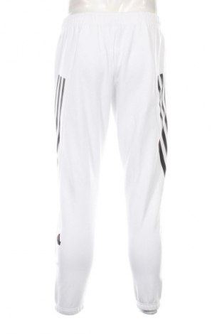 Herren Sporthose Adidas, Größe M, Farbe Weiß, Preis 67,99 €