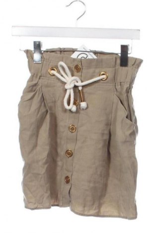 Φούστα Zara, Μέγεθος XS, Χρώμα Καφέ, Τιμή 12,99 €