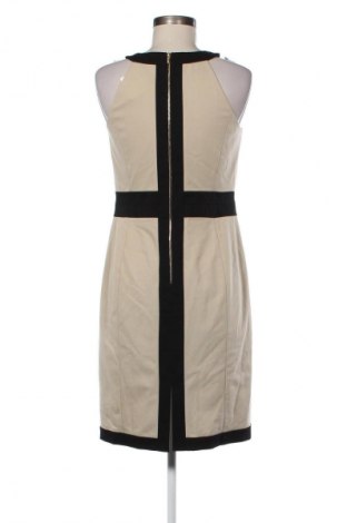 Φόρεμα Ann Taylor, Μέγεθος S, Χρώμα Πολύχρωμο, Τιμή 52,99 €