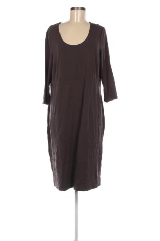 Kleid Anna Aura, Größe XL, Farbe Braun, Preis 56,99 €