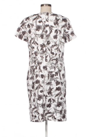 Sukienka Betty Barclay, Rozmiar XL, Kolor Kolorowy, Cena 268,99 zł