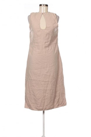 Kleid Calvin Klein, Größe M, Farbe Braun, Preis 89,99 €