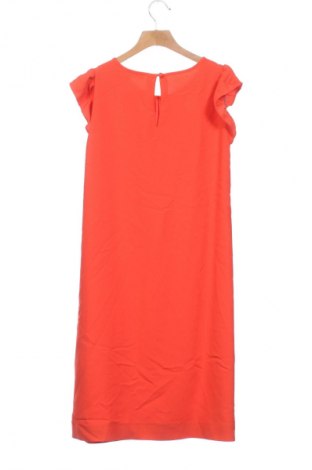 Kleid Cyrillus, Größe XS, Farbe Orange, Preis 39,99 €