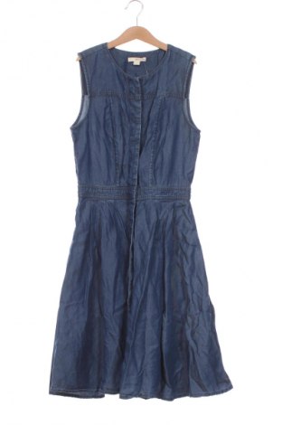 Kleid DKNY Jeans, Größe XS, Farbe Blau, Preis 41,99 €