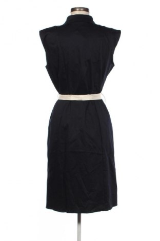 Sukienka Dorothy Perkins, Rozmiar L, Kolor Niebieski, Cena 157,99 zł