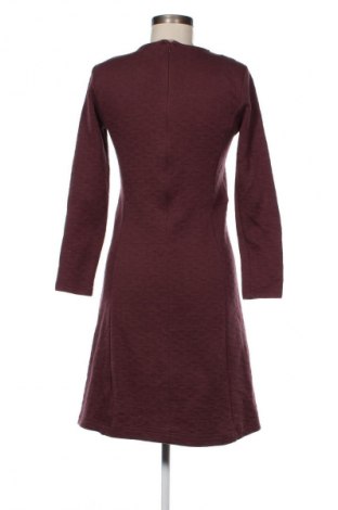 Kleid Noa Noa, Größe S, Farbe Aschrosa, Preis 41,63 €