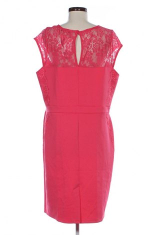 Kleid George, Größe XXL, Farbe Rosa, Preis 50,99 €