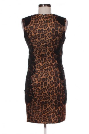 Kleid Glamorous, Größe M, Farbe Mehrfarbig, Preis € 75,99