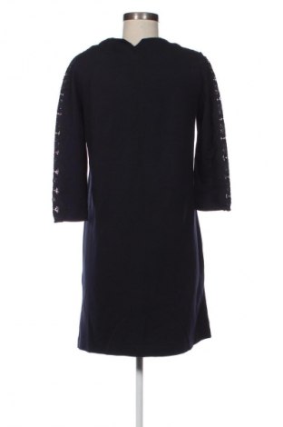 Kleid Massimo Dutti, Größe L, Farbe Blau, Preis 30,26 €