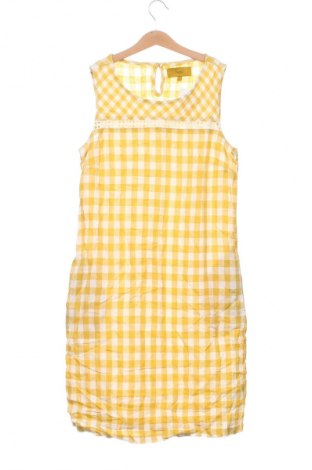 Kleid Next, Größe XS, Farbe Mehrfarbig, Preis € 24,99