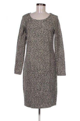 Kleid Noppies, Größe L, Farbe Mehrfarbig, Preis € 15,99
