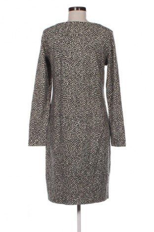 Kleid Noppies, Größe L, Farbe Mehrfarbig, Preis € 15,99