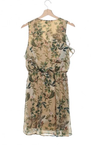 Kleid RW & Co., Größe XS, Farbe Mehrfarbig, Preis 33,99 €