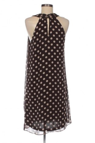 Kleid Sir Oliver, Größe M, Farbe Mehrfarbig, Preis 33,99 €