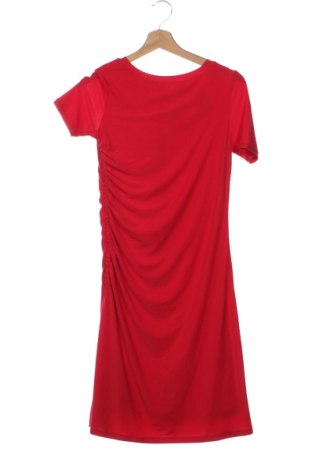 Kleid Steffen Schraut, Größe XS, Farbe Rot, Preis 192,99 €