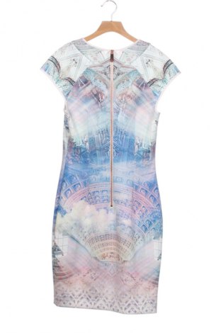 Rochie Ted Baker, Mărime XS, Culoare Multicolor, Preț 746,39 Lei